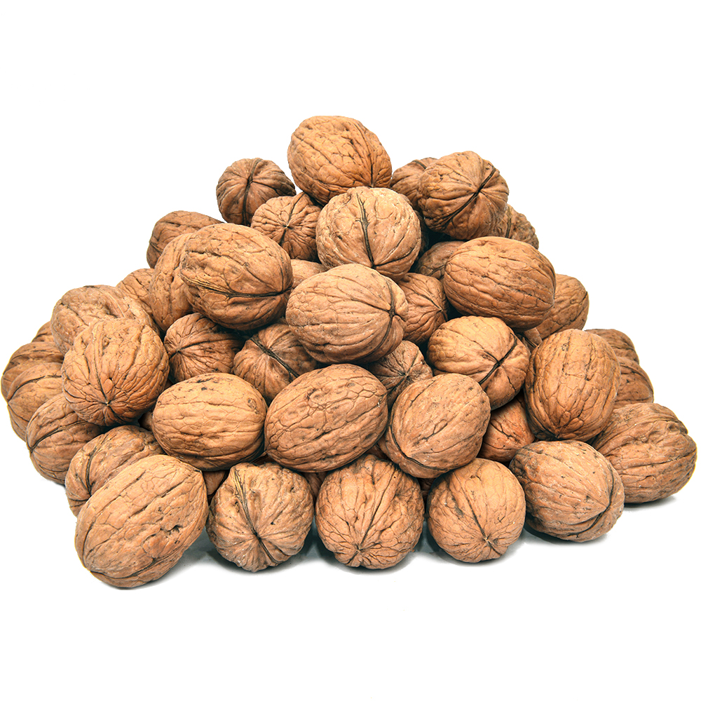 Akhrot Sabat (Walnut in Shell) 500g