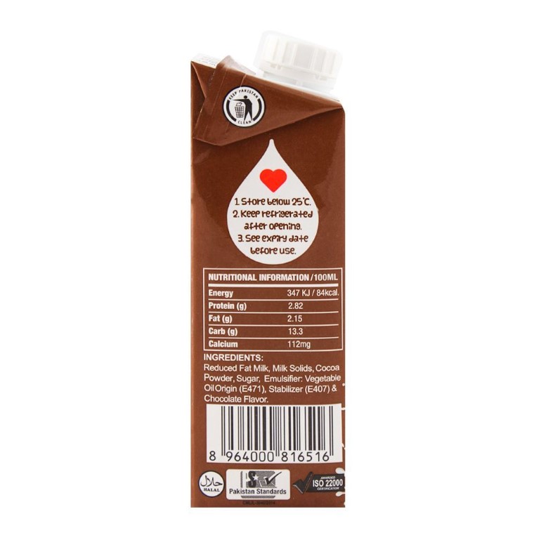 Day Fresh Chocolate Milk 235ml